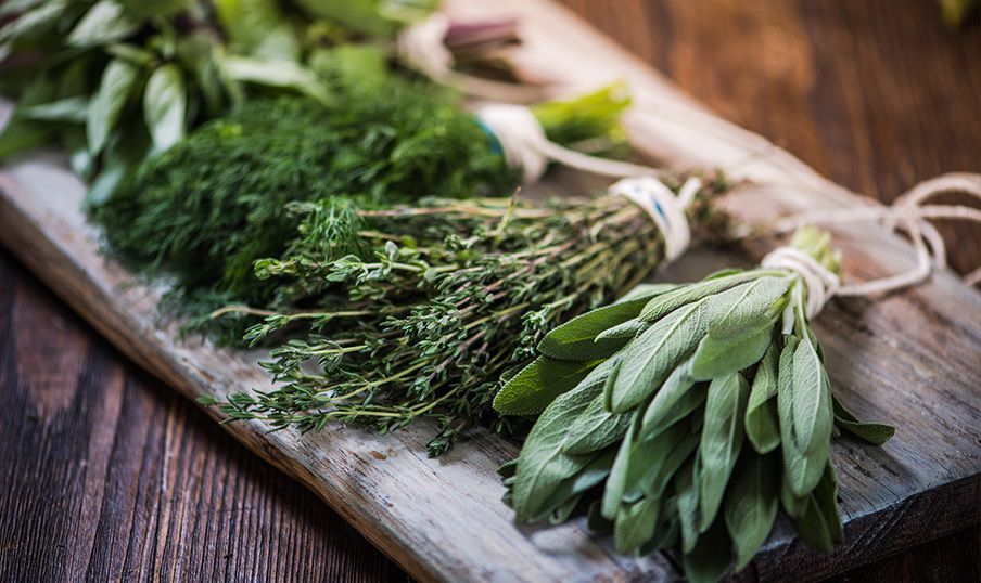 Hagyományos gyógyítási kultúra Budafokon - séta és workshop